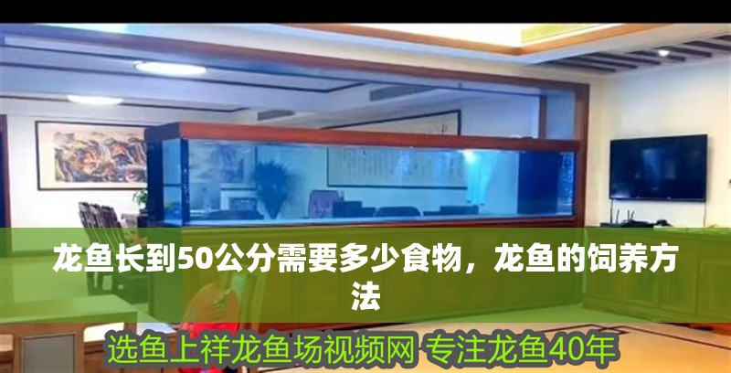 龍魚長到50公分需要多少食物，龍魚的飼養方法 龍魚長到50公分需要多少食物，龍魚的飼養方法 龍魚百科