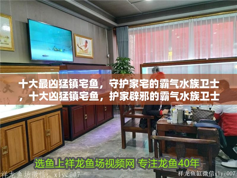 十大最兇猛鎮(zhèn)宅魚，守護家宅的霸氣水族衛(wèi)士，十大兇猛鎮(zhèn)宅魚，護家辟邪的霸氣水族衛(wèi)士 十大最兇猛鎮(zhèn)宅魚，守護家宅的霸氣水族衛(wèi)士，十大兇猛鎮(zhèn)宅魚，護家辟邪的霸氣水族衛(wèi)士 龍魚百科 第1張