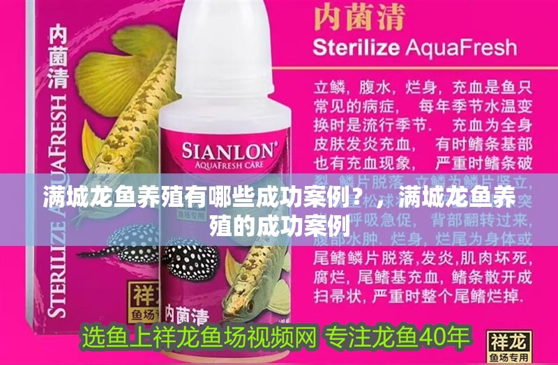 滿城龍魚養殖有哪些成功案例？，滿城龍魚養殖的成功案例