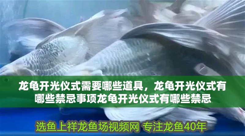 龍龜開光儀式需要哪些道具，龍龜開光儀式有哪些禁忌事項龍龜開光儀式有哪些禁忌