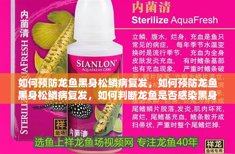 如何預防龍魚黑身松鱗病復發，如何預防龍魚黑身松鱗病復發，如何判斷龍魚是否感染黑身松鱗病