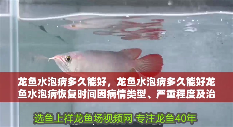 龍魚水泡病多久能好，龍魚水泡病多久能好龍魚水泡病恢復時間因病情類型、嚴重程度及治療措施不同而有所差異 龍魚水泡病多久能好，龍魚水泡病多久能好龍魚水泡病恢復時間因病情類型、嚴重程度及治療措施不同而有所差異 龍魚百科