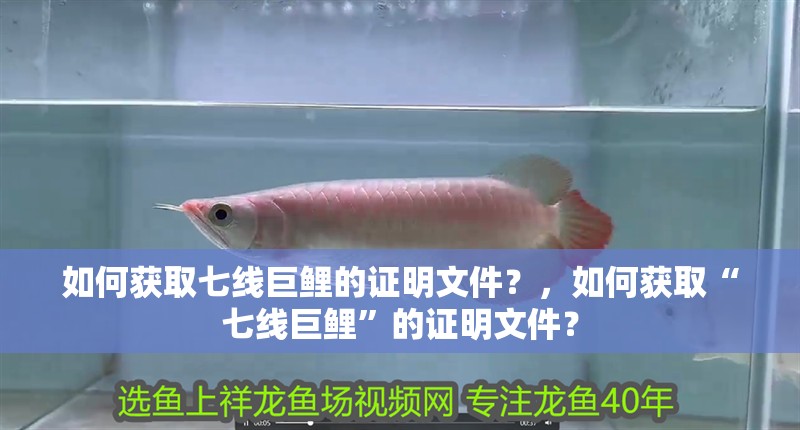 魚缸過濾器選購指南:自制魚缸過濾器魚缸上置過濾器對(duì)于養(yǎng)魚愛好者的必備知識(shí) 如何獲取七線巨鯉的證明文件?,如何獲取“七線巨鯉”的證明文件? 龍魚百科 如何獲取七線巨鯉的證明文件?,如何獲取“七線巨鯉”的證明文件? 如何獲取七線巨鯉的證明文件?,如何獲取“七線巨鯉”的證明文件? 龍魚百科