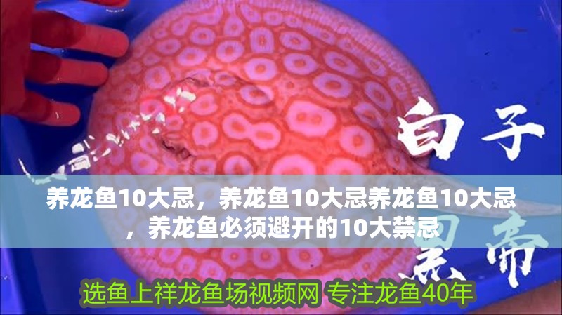 養龍魚10大忌，養龍魚10大忌養龍魚10大忌，養龍魚必須避開的10大禁忌