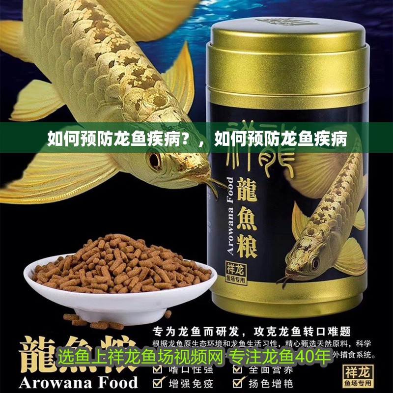 如何預(yù)防龍魚疾病？，如何預(yù)防龍魚疾病