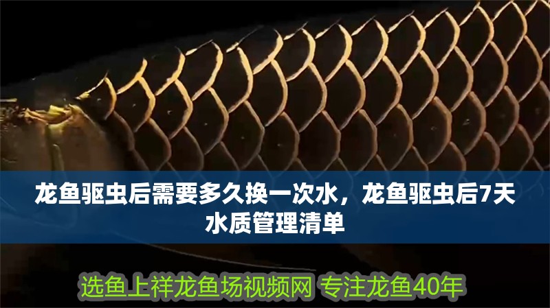 龍魚驅蟲后需要多久換一次水，龍魚驅蟲后7<strong><mark>天水</mark></strong>質管理清單