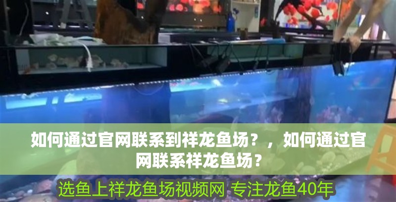 如何通過官網聯系到祥龍魚場？，如何通過官網聯系祥龍魚場？ 如何通過官網聯系到祥龍魚場？，如何通過官網聯系祥龍魚場？ 龍魚百科