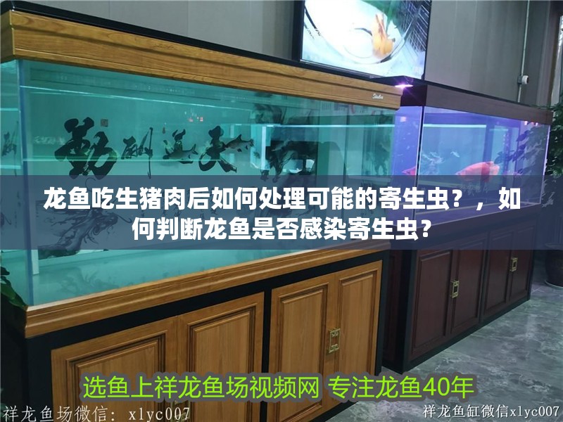 給大魚缸換水的作文:體驗給大魚缸換水的樂趣:體驗給大魚缸換水:給大魚缸換水的作文 龍魚吃生豬肉后如何處理可能的寄生蟲?,如何判斷龍魚是否感染寄生蟲? 龍魚百科 龍魚吃生豬肉后如何處理可能的寄生蟲?,如何判斷龍魚是否感染寄生蟲? 龍魚吃生豬肉后如何處理可能的寄生蟲?,如何判斷龍魚是否感染寄生蟲? 龍魚百科