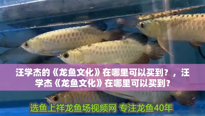 汪學杰的《龍魚文化》在哪里可以買到？，汪學杰《龍魚文化》在哪里可以買到？