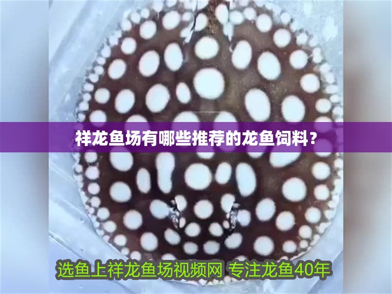 祥龍魚場有哪些推薦的龍魚飼料？