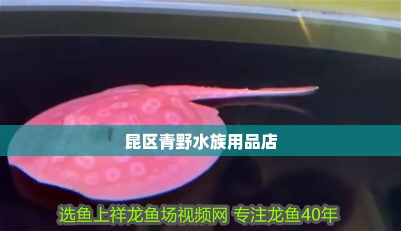 昆區(qū)青野水族用品店