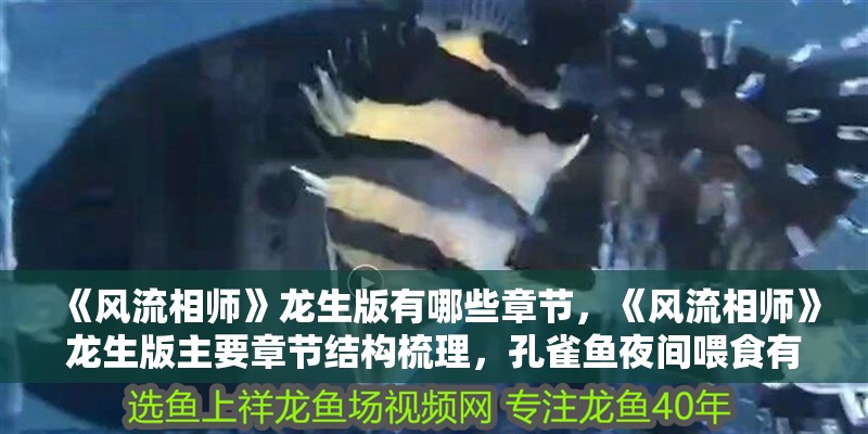 《風流相師》龍生版有哪些章節，《風流相師》龍生版主要章節結構梳理，孔雀魚夜間喂食有哪些注意事項 《風流相師》龍生版有哪些章節，《風流相師》龍生版主要章節結構梳理，孔雀魚夜間喂食有哪些注意事項 龍魚百科