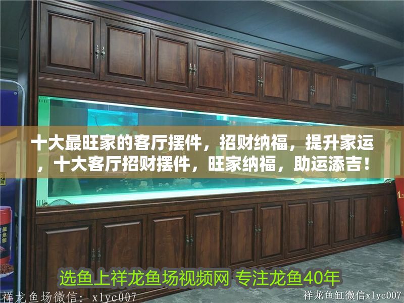 十大最旺家的客廳擺件，招財(cái)納福，提升家運(yùn)，十大客廳招財(cái)擺件，旺家納福，助運(yùn)添吉！