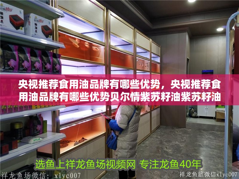 央視推薦食用油品牌有哪些優勢，央視推薦食用油品牌有哪些優勢貝爾情紫蘇籽油紫蘇籽油 央視推薦食用油品牌有哪些優勢，央視推薦食用油品牌有哪些優勢貝爾情紫蘇籽油紫蘇籽油 龍魚百科