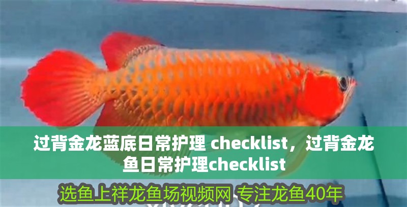 過背金龍藍底日常護理 checklist，過背金龍魚日常護理checklist 過背金龍藍底日常護理 checklist，過背金龍魚日常護理checklist 龍魚百科