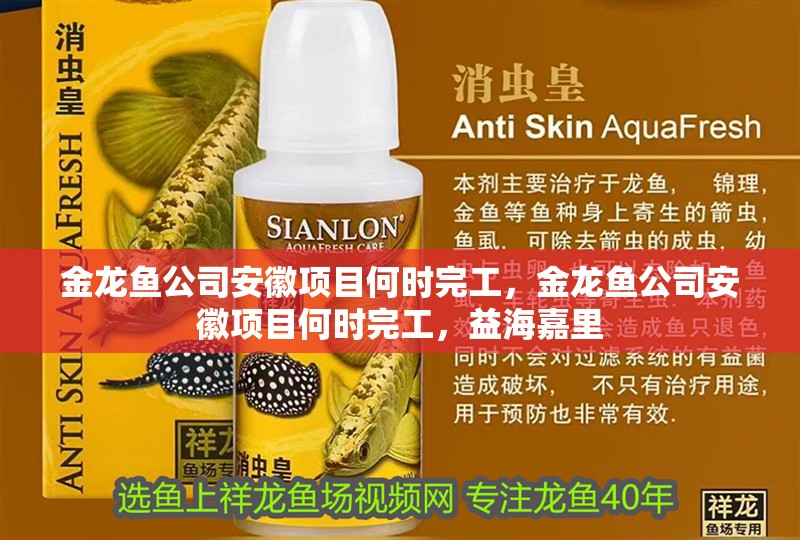 鸚鵡魚(yú)和銀龍魚(yú)混養(yǎng)怎樣喂食 金龍魚(yú)公司安徽項(xiàng)目何時(shí)完工,金龍魚(yú)公司安徽項(xiàng)目何時(shí)完工,益海嘉里 龍魚(yú)百科 金龍魚(yú)公司安徽項(xiàng)目何時(shí)完工,金龍魚(yú)公司安徽項(xiàng)目何時(shí)完工,益海嘉里 金龍魚(yú)公司安徽項(xiàng)目何時(shí)完工,金龍魚(yú)公司安徽項(xiàng)目何時(shí)完工,益海嘉里 龍魚(yú)百科