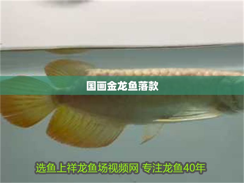 國畫金龍魚落款 國畫金龍魚落款 龍魚百科 第1張