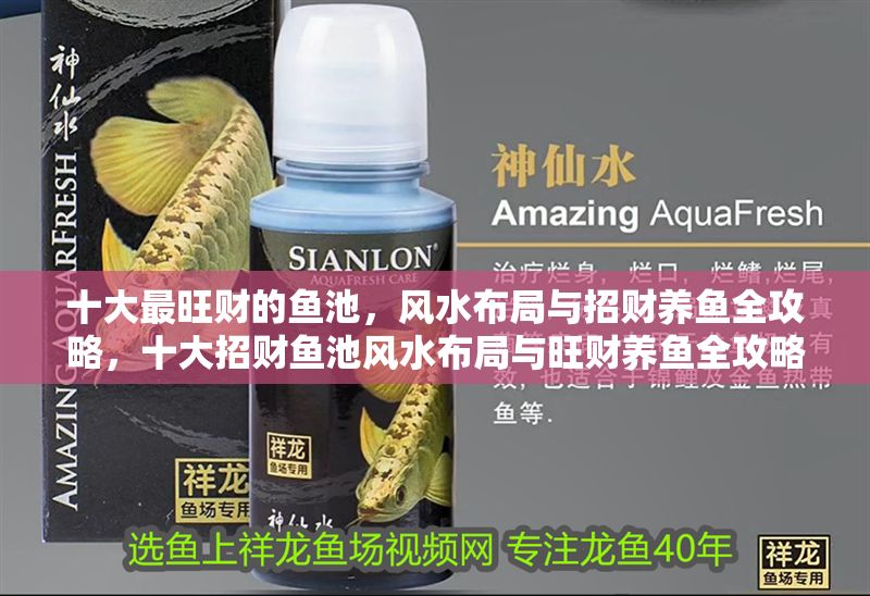 十大最旺財的魚池，風水布局與招財養魚全攻略，十大招財魚池風水布局與旺財養魚全攻略