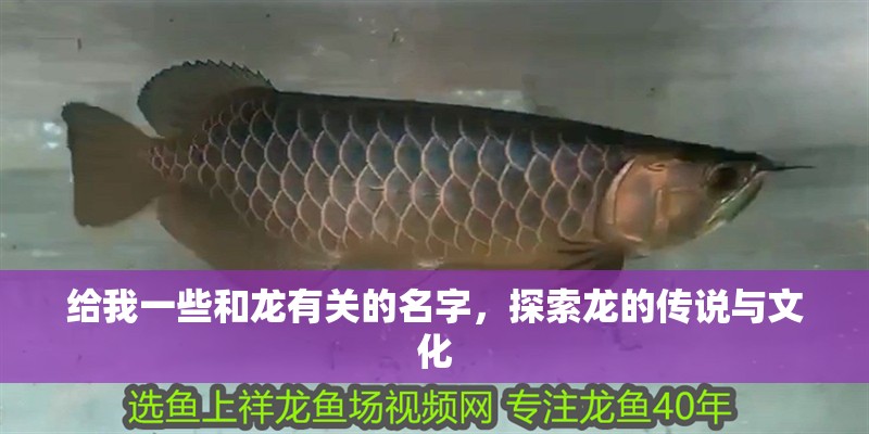 魚缸用增氧泵價格是多少:魚缸增氧機-xtrac增氧機-xtrac增氧機 給我一些和龍有關的名字,探索龍的傳說與文化 龍魚百科 給我一些和龍有關的名字,探索龍的傳說與文化 給我一些和龍有關的名字,探索龍的傳說與文化 龍魚百科
