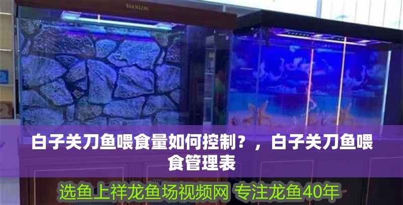 白子關刀魚喂食量如何控制？，白子關刀魚喂食管理表 白子關刀魚喂食量如何控制？，白子關刀魚喂食管理表 龍魚百科