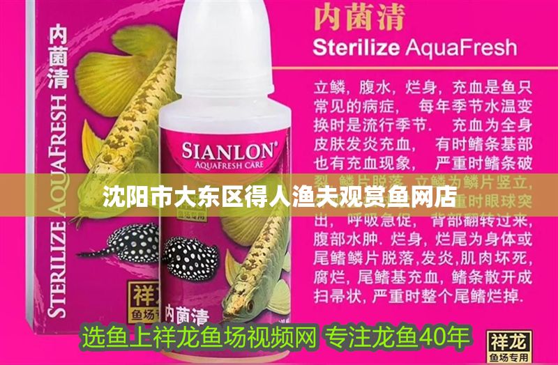 沈陽市大東區(qū)得人漁夫觀賞魚網(wǎng)店