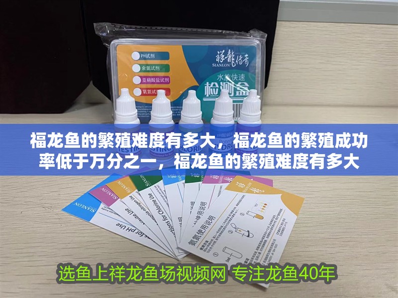 福龍魚的繁殖難度有多大，福龍魚的繁殖成功率低于萬分之一，福龍魚的繁殖難度有多大 福龍魚的繁殖難度有多大，福龍魚的繁殖成功率低于萬分之一，福龍魚的繁殖難度有多大 龍魚百科
