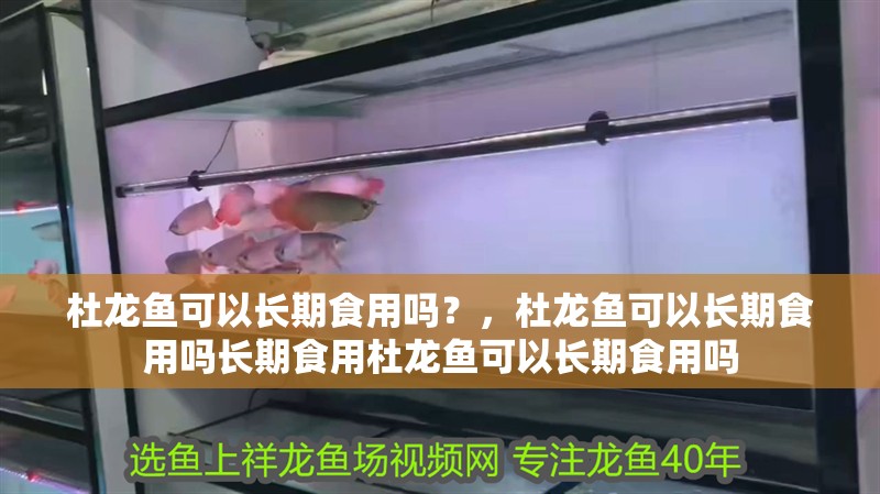 杜龍魚可以長期食用嗎？，杜龍魚可以長期食用嗎長期食用杜龍魚可以長期食用嗎 杜龍魚可以長期食用嗎？，杜龍魚可以長期食用嗎長期食用杜龍魚可以長期食用嗎 龍魚百科