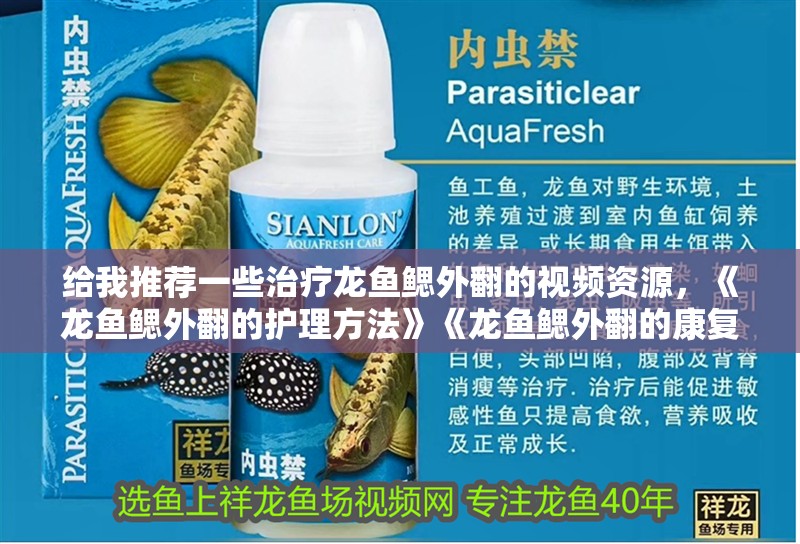 給我推薦一些治療龍魚鰓外翻的視頻資源，《龍魚鰓外翻的護理方法》《龍魚鰓外翻的康復訓練》 給我推薦一些治療龍魚鰓外翻的視頻資源，《龍魚鰓外翻的護理方法》《龍魚鰓外翻的康復訓練》 龍魚百科