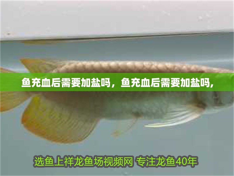 魚充血后需要加鹽嗎，魚充血后需要加鹽嗎,