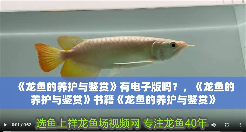 鸚鵡魚和銀龍魚混養怎樣喂食 《龍魚的養護與鑒賞》有電子版嗎?,《龍魚的養護與鑒賞》書籍《龍魚的養護與鑒賞》 龍魚百科 《龍魚的養護與鑒賞》有電子版嗎?,《龍魚的養護與鑒賞》書籍《龍魚的養護與鑒賞》 《龍魚的養護與鑒賞》有電子版嗎?,《龍魚的養護與鑒賞》書籍《龍魚的養護與鑒賞》 龍魚百科
