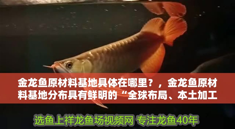 金龍魚原材料基地具體在哪里？，金龍魚原材料基地分布具有鮮明的“全球布局、本土加工”特征 金龍魚原材料基地具體在哪里？，金龍魚原材料基地分布具有鮮明的“全球布局、本土加工”特征 龍魚百科
