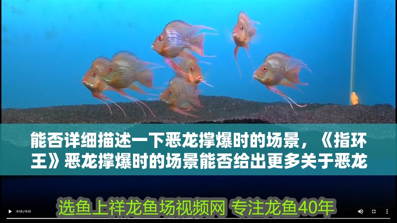 能否詳細描述一下惡龍撐爆時的場景，《指環王》惡龍撐爆時的場景能否給出更多關于惡龍撐爆的傳說細節 能否詳細描述一下惡龍撐爆時的場景，《指環王》惡龍撐爆時的場景能否給出更多關于惡龍撐爆的傳說細節 龍魚百科