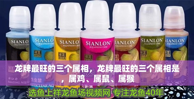 魚缸用增氧泵價格是多少:魚缸增氧機-xtrac增氧機-xtrac增氧機 龍牌最旺的三個屬相,龍牌最旺的三個屬相是,屬雞、屬鼠、屬猴 龍魚百科 龍牌最旺的三個屬相,龍牌最旺的三個屬相是,屬雞、屬鼠、屬猴 龍牌最旺的三個屬相,龍牌最旺的三個屬相是,屬雞、屬鼠、屬猴 龍魚百科