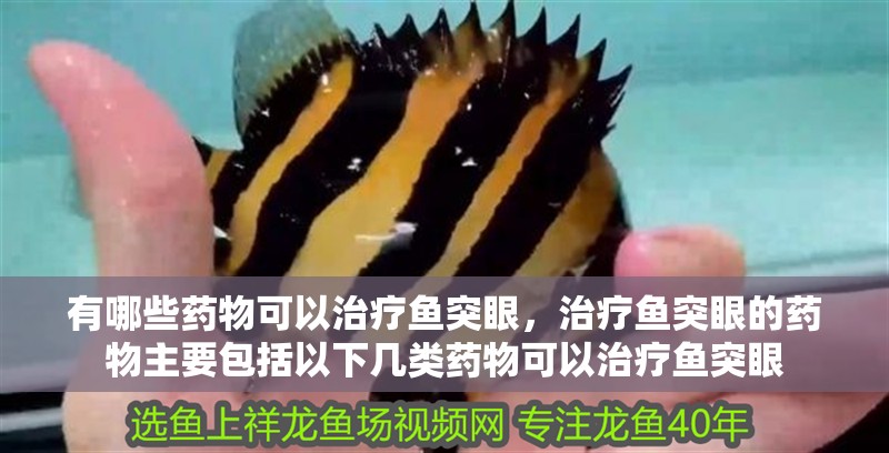 有哪些藥物可以治療魚突眼，治療魚突眼的藥物主要包括以下幾類藥物可以治療魚突眼 有哪些藥物可以治療魚突眼，治療魚突眼的藥物主要包括以下幾類藥物可以治療魚突眼 龍魚百科