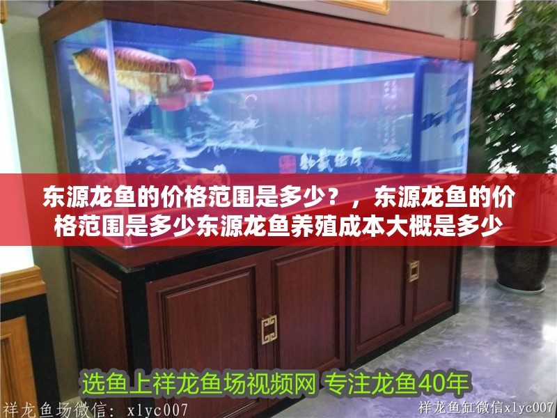 東源龍魚的價格范圍是多少？，東源龍魚的價格范圍是多少東源龍魚養(yǎng)殖成本大概是多少 東源龍魚的價格范圍是多少？，東源龍魚的價格范圍是多少東源龍魚養(yǎng)殖成本大概是多少 龍魚百科