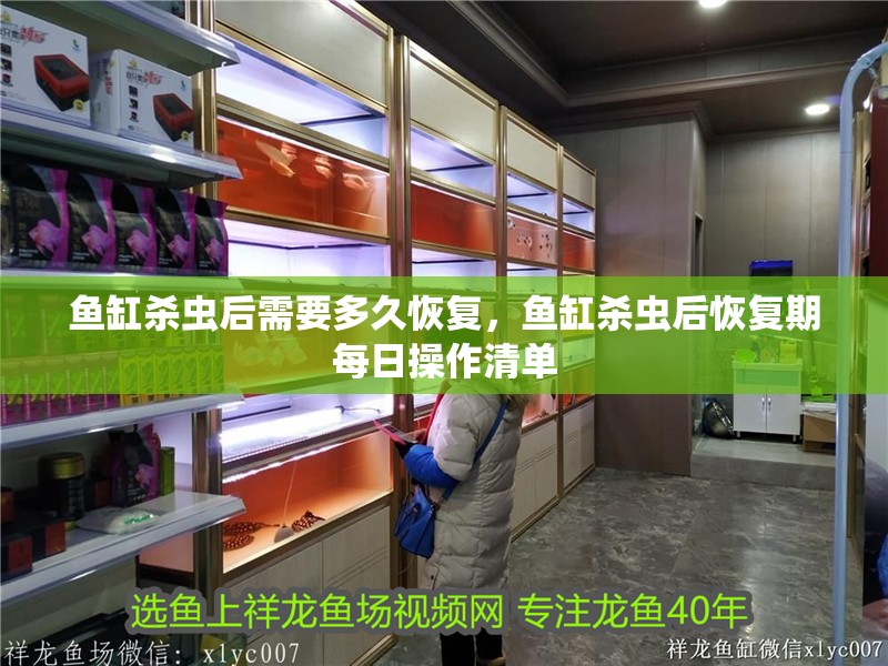 魚缸殺蟲后需要多久恢復，魚缸殺蟲后恢復期每日操作清單 魚缸殺蟲后需要多久恢復，魚缸殺蟲后恢復期每日操作清單 龍魚百科