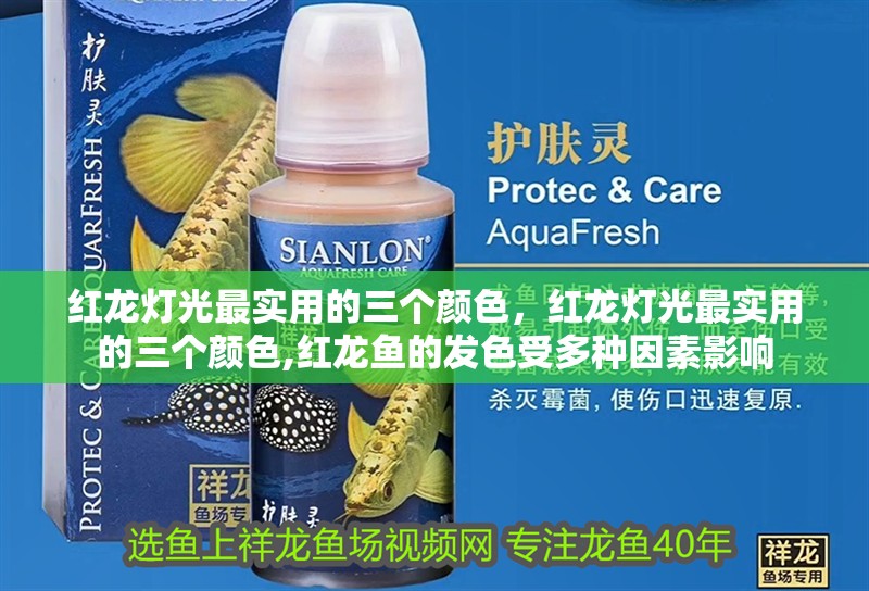 紅龍燈光最實用的三個顏色，紅龍燈光最實用的三個顏色,紅龍魚的發色受多種因素影響 紅龍燈光最實用的三個顏色，紅龍燈光最實用的三個顏色,紅龍魚的發色受多種因素影響 龍魚百科