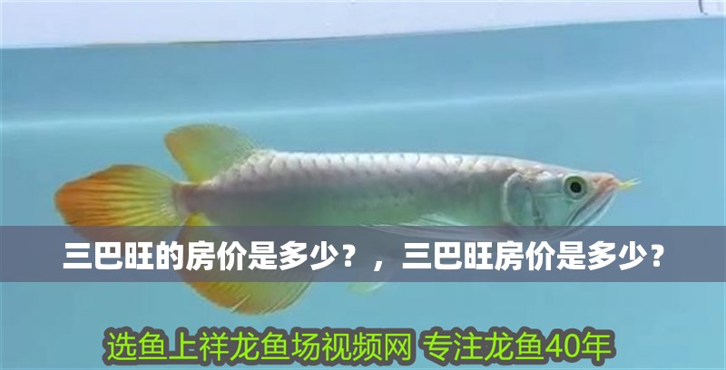 三巴旺的房價是多少？，三巴旺房價是多少？ 三巴旺的房價是多少？，三巴旺房價是多少？ 龍魚百科