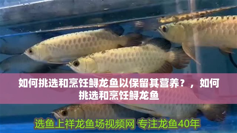 如何挑選和烹飪鱘龍魚以保留其營養？，如何挑選和烹飪鱘龍魚 如何挑選和烹飪鱘龍魚以保留其營養？，如何挑選和烹飪鱘龍魚 龍魚百科