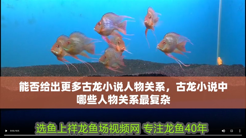 能否給出更多古龍小說人物關系，古龍小說中哪些人物關系最復雜