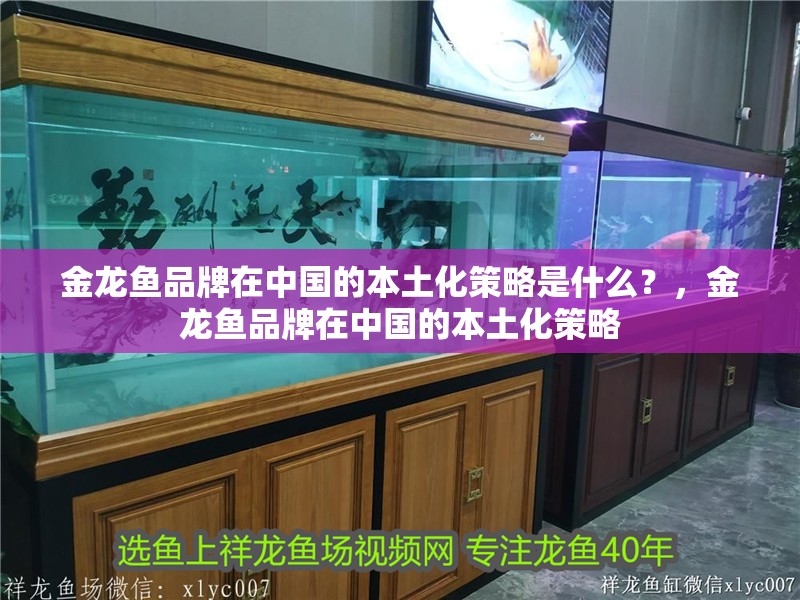 金龍魚品牌在中國的本土化策略是什么？，金龍魚品牌在中國的本土化策略 金龍魚品牌在中國的本土化策略是什么？，金龍魚品牌在中國的本土化策略 龍魚百科