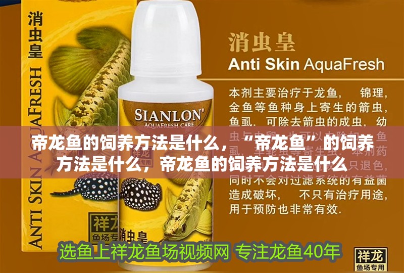 帝龍魚的飼養方法是什么，“帝龍魚”的飼養方法是什么，帝龍魚的飼養方法是什么