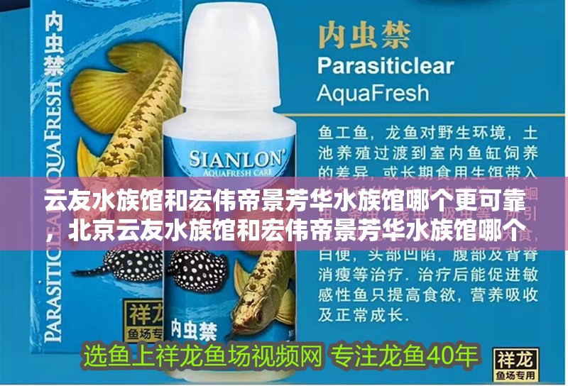 云友水族館和宏偉帝景芳華水族館哪個更可靠，北京云友水族館和宏偉帝景芳華水族館哪個更可靠