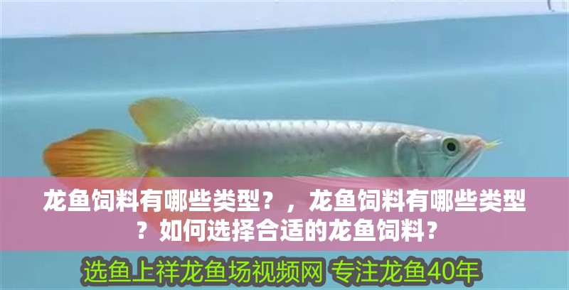 龍魚飼料有哪些類型？，龍魚飼料有哪些類型？如何選擇合適的龍魚飼料？ 龍魚飼料有哪些類型？，龍魚飼料有哪些類型？如何選擇合適的龍魚飼料？ 龍魚百科