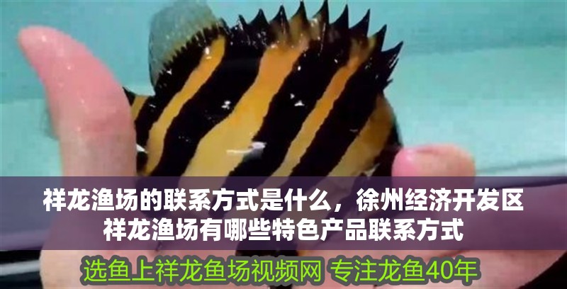 魚缸過濾器選購指南:自制魚缸過濾器魚缸上置過濾器對于養魚愛好者的必備知識 祥龍漁場的聯系方式是什么,徐州經濟開發區祥龍漁場有哪些特色產品聯系方式 龍魚百科 祥龍漁場的聯系方式是什么,徐州經濟開發區祥龍漁場有哪些特色產品聯系方式 祥龍漁場的聯系方式是什么,徐州經濟開發區祥龍漁場有哪些特色產品聯系方式 龍魚百科