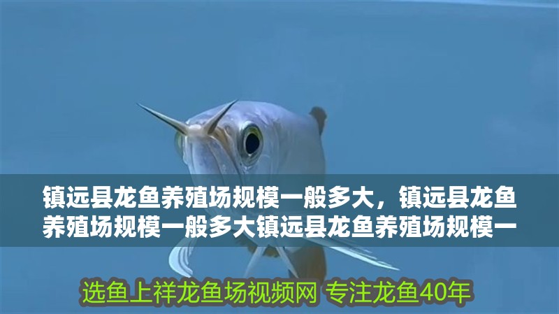 魚缸用增氧泵價格是多少:魚缸增氧機-xtrac增氧機-xtrac增氧機 鎮遠縣龍魚養殖場規模一般多大,鎮遠縣龍魚養殖場規模一般多大鎮遠縣龍魚養殖場規模一般多大 龍魚百科 鎮遠縣龍魚養殖場規模一般多大,鎮遠縣龍魚養殖場規模一般多大鎮遠縣龍魚養殖場規模一般多大 鎮遠縣龍魚養殖場規模一般多大,鎮遠縣龍魚養殖場規模一般多大鎮遠縣龍魚養殖場規模一般多大 龍魚百科