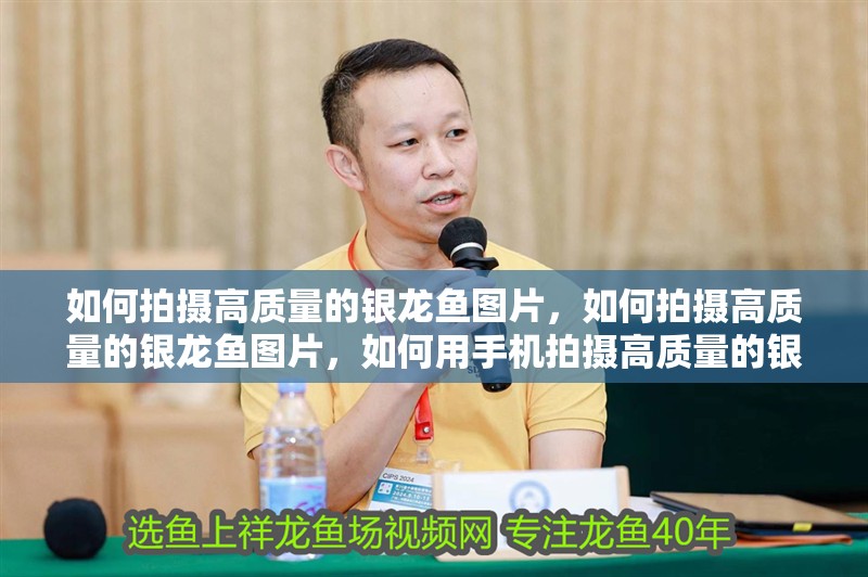 如何拍攝高質(zhì)量的銀龍魚圖片，如何拍攝高質(zhì)量的銀龍魚圖片，如何用手機(jī)拍攝高質(zhì)量的銀龍魚圖片