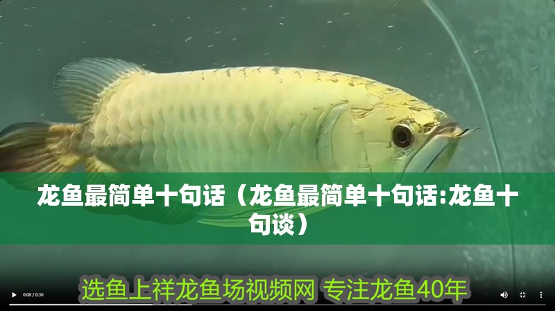 龍魚最簡單十句話（龍魚最簡單十句話:龍魚十句談）