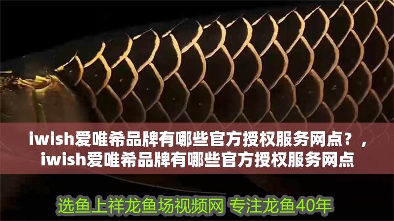 魚缸用增氧泵價格是多少:魚缸增氧機-xtrac增氧機-xtrac增氧機 iwish愛唯希品牌有哪些官方授權服務網點?,iwish愛唯希品牌有哪些官方授權服務網點 龍魚百科 iwish愛唯希品牌有哪些官方授權服務網點?,iwish愛唯希品牌有哪些官方授權服務網點 iwish愛唯希品牌有哪些官方授權服務網點?,iwish愛唯希品牌有哪些官方授權服務網點 龍魚百科