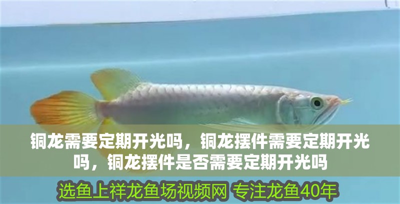 銅龍需要定期開光嗎，銅龍擺件需要定期開光嗎，銅龍擺件是否需要定期開光嗎 銅龍需要定期開光嗎，銅龍擺件需要定期開光嗎，銅龍擺件是否需要定期開光嗎 龍魚百科